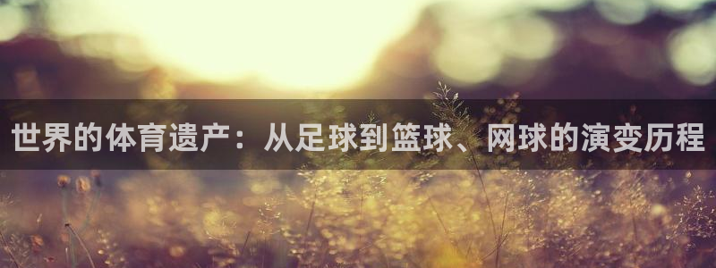 球速体育