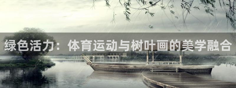 球速体育