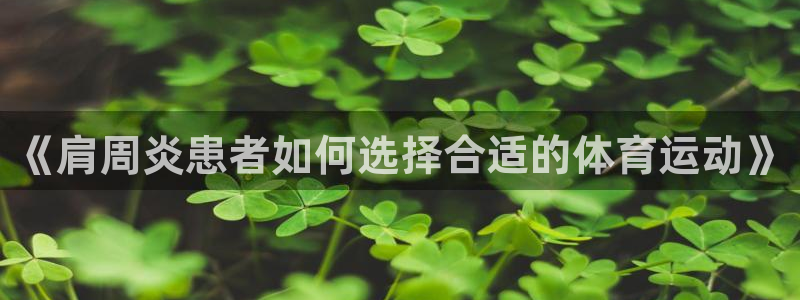 球速体育