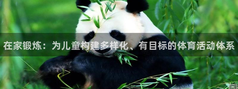 球速体育