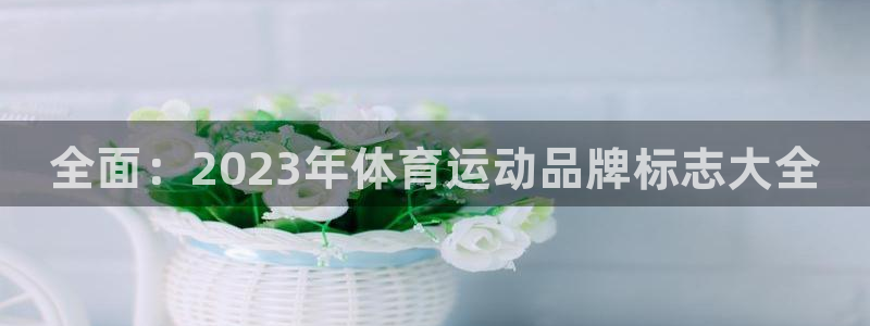球速体育