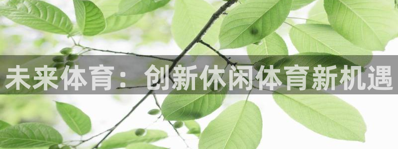 球速体育