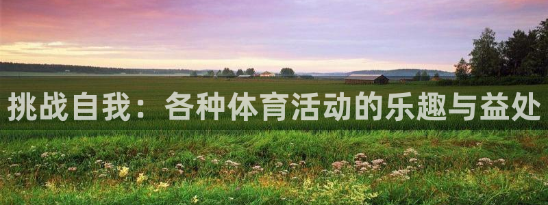球速体育